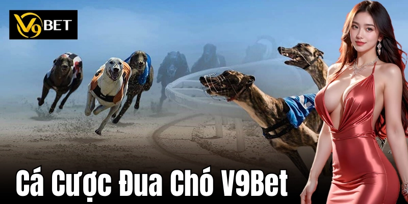 Cá Cược Đua Chó V9Bet – Cách Chơi Đơn Giản Và Hiệu Quả