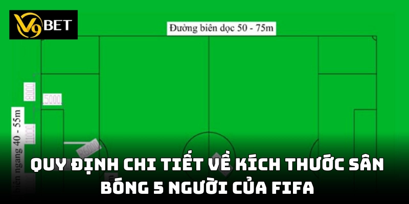 Kích Thước Sân Bóng 5 Người Chuẩn FIFA – Thông Số Mới Nhất!