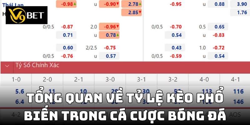 Cách hiểu các loại tỷ lệ kèo cược